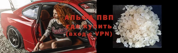 СК Алексин