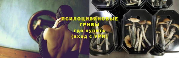 СК Алексин