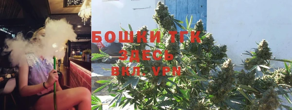 СК Алексин