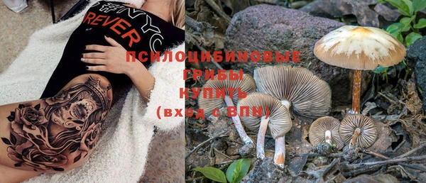 ГАЛЛЮЦИНОГЕННЫЕ ГРИБЫ Алексеевка