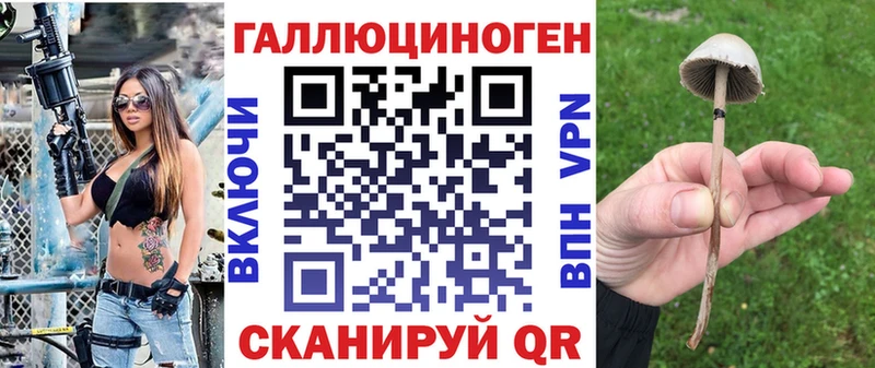 площадка Telegram  Татарск  Псилоцибиновые грибы GOLDEN TEACHER  что такое  